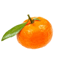 MANDARIN