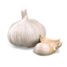 FOKHAGYMA