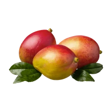 MANGÓ