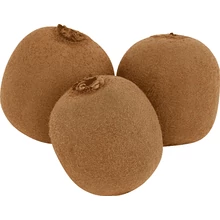 KIWI NAGY MÉRETŰ LÉDIG