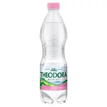 THEODORA SZÉNSAVMENTES ÁSVÁNYVÍZ 0,5L