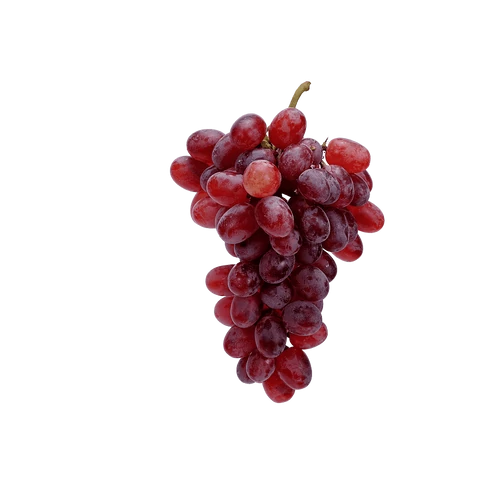 SZŐLŐ ROSÉ